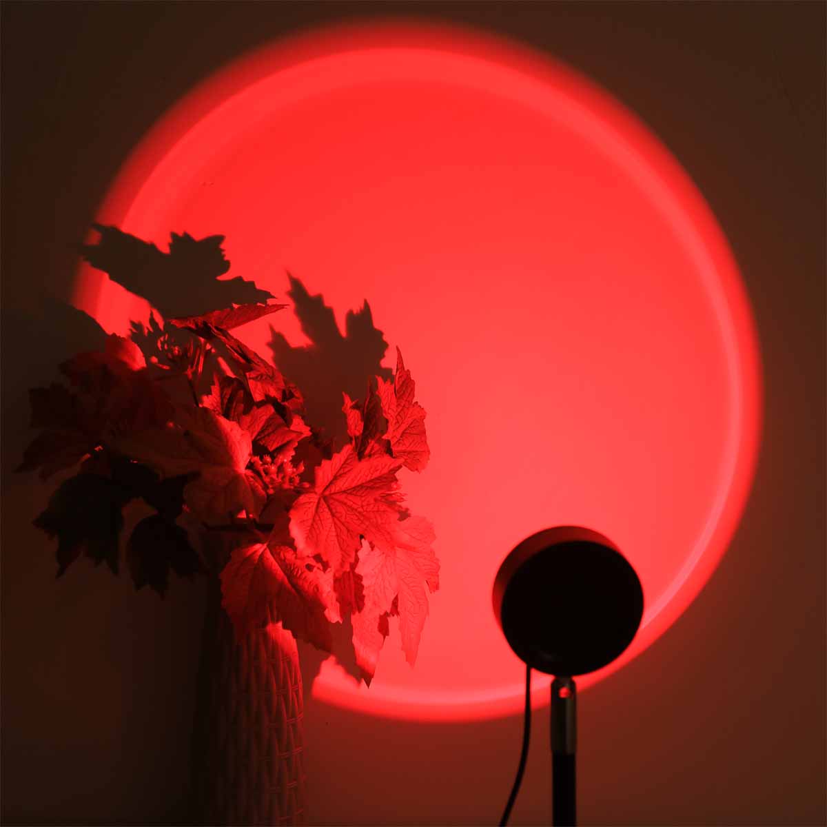 Luz de Projeção do Pôr do Sol  - Photography Lighting Setup avaliação e preço