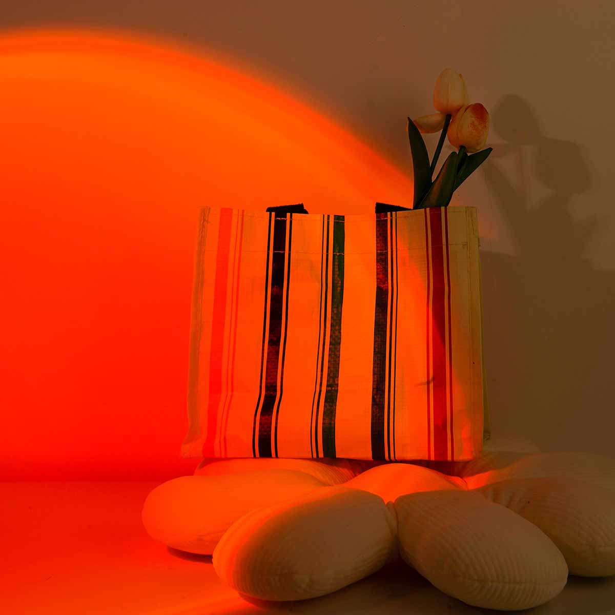 Luz de Projeção do Pôr do Sol  - Photography Lighting Setup avaliação e preço